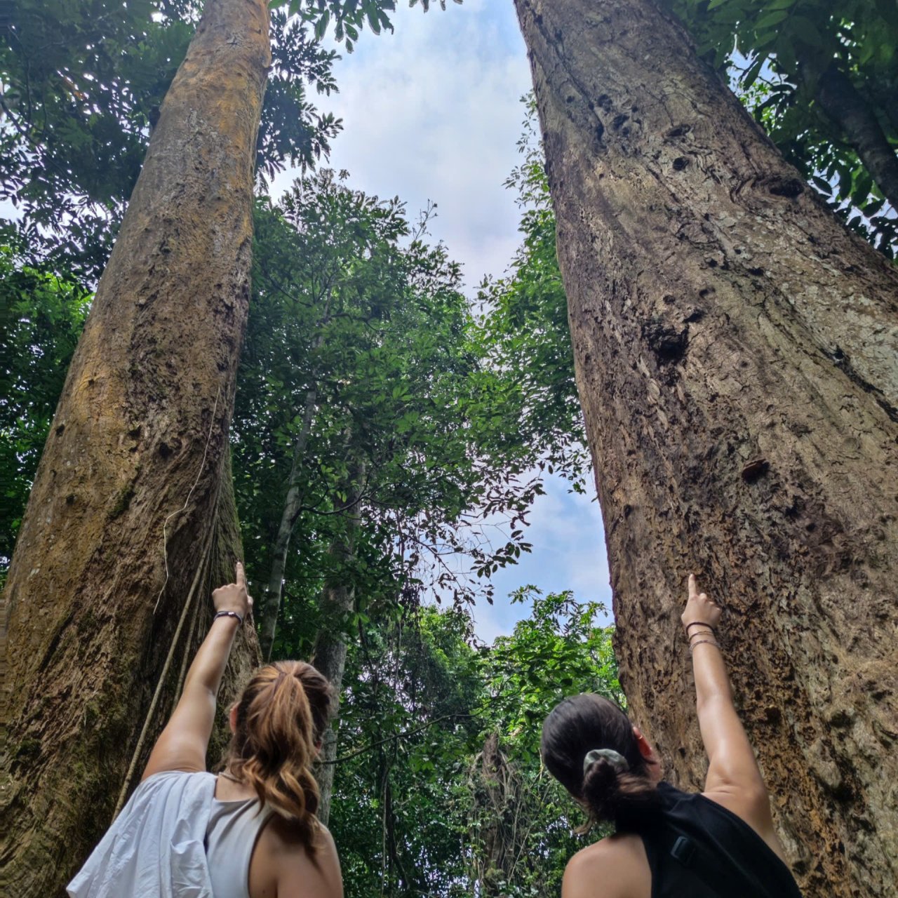 Cuc Phuong National Park - Ninh Binh